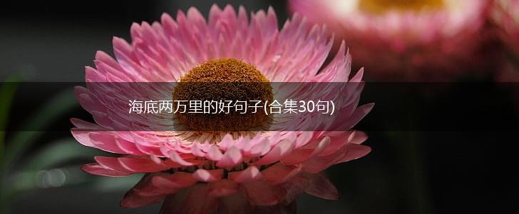 海底两万里的好句子(合集30句),第1张