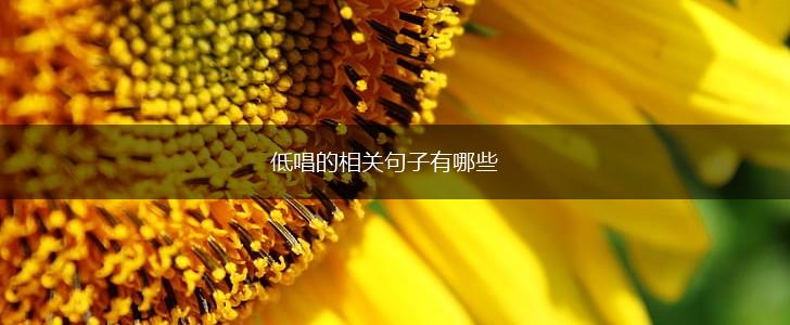 低唱的相关句子有哪些,第1张 低唱的相关句子有哪些,第1张