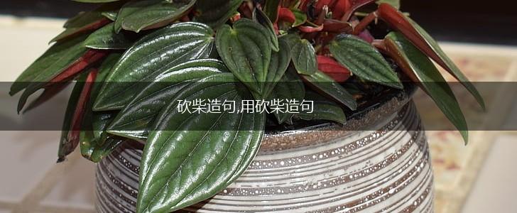 砍柴造句,用砍柴造句,第1张