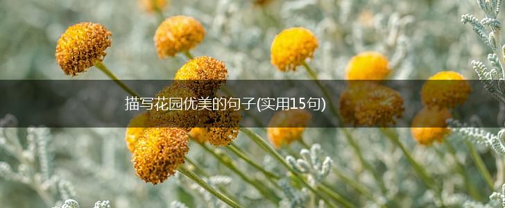 描写花园优美的句子(实用15句),第1张