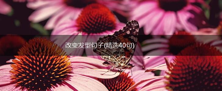 改变发型句子(精选40句),第1张