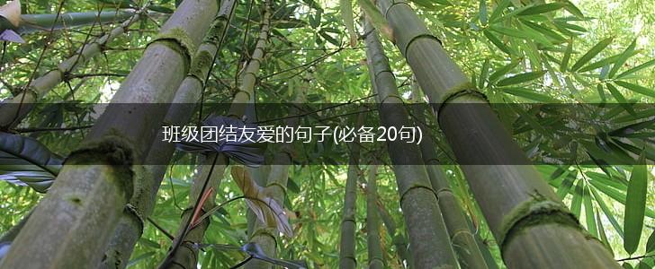 班级团结友爱的句子(必备20句),第1张