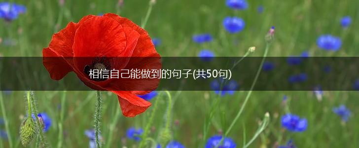 相信自己能做到的句子(共50句),第1张