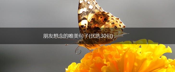 朋友想念的唯美句子(优选30句),第1张