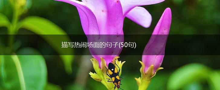 描写热闹场面的句子(50句),第1张