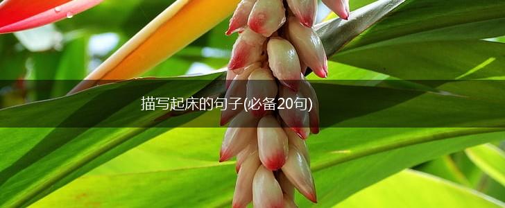 描写起床的句子(必备20句),第1张