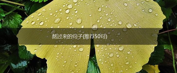 熬过来的句子(推荐50句),第1张
