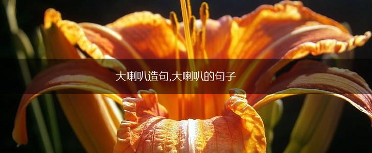 大喇叭造句,大喇叭的句子,第1张