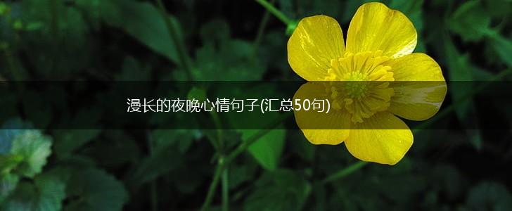 漫长的夜晚心情句子(汇总50句),第1张