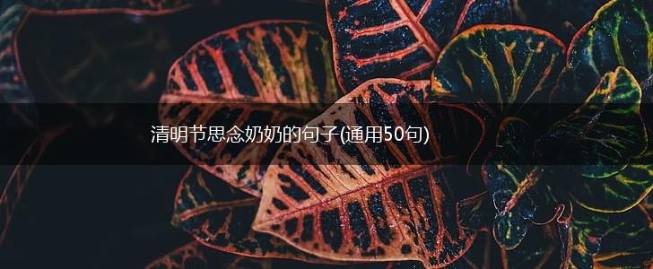 清明节思念奶奶的句子(通用50句),第1张