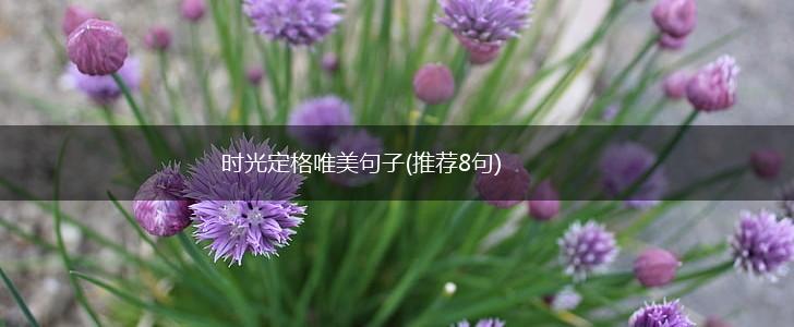 时光定格唯美句子(推荐8句),第1张