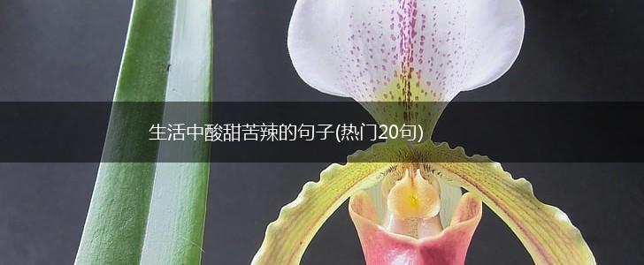生活中酸甜苦辣的句子(热门20句),第1张
