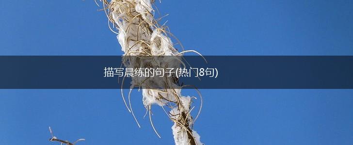 描写晨练的句子(热门8句),第1张