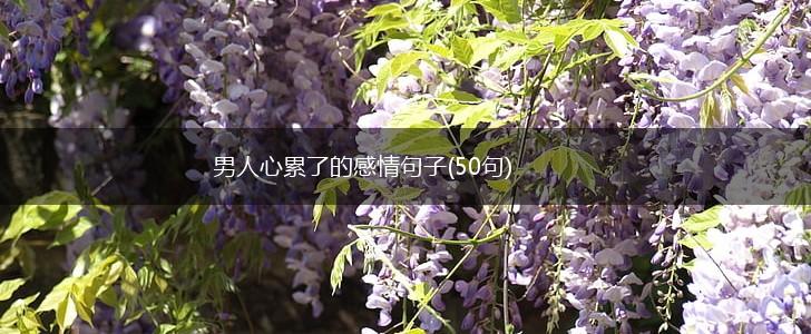 男人心累了的感情句子(50句),第1张