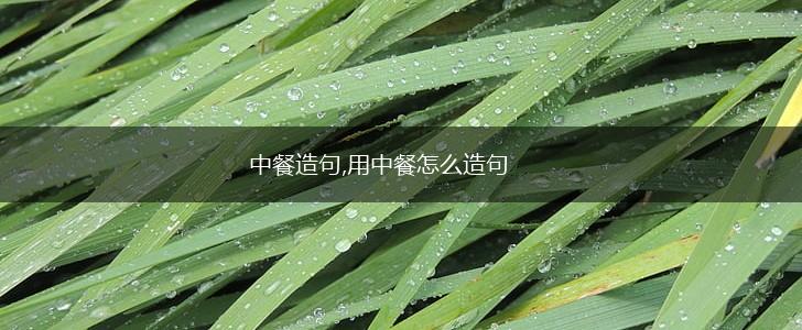 中餐造句,用中餐怎么造句,第1张 中餐造句,用中餐怎么造句,第1张
