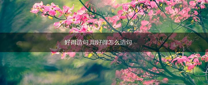 好得造句,用好得怎么造句,第1张 好得造句,用好得怎么造句,第1张