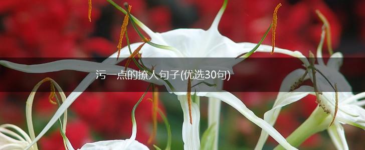 污一点的撩人句子(优选30句),第1张