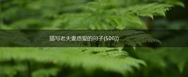 描写老夫妻恩爱的句子(50句),第1张