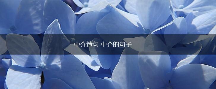 中介造句 中介的句子,第1张 中介造句 中介的句子,第1张