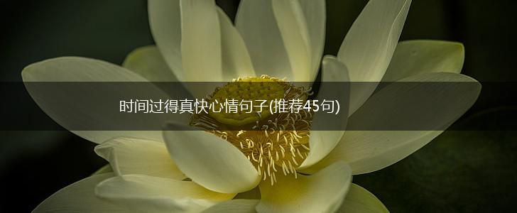 时间过得真快心情句子(推荐45句),第1张