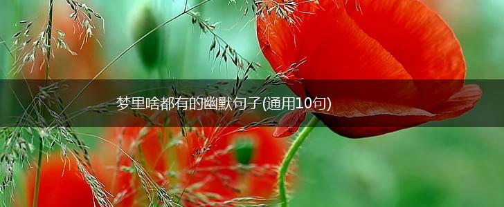 梦里啥都有的幽默句子(通用10句),第1张