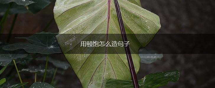 用顿饱怎么造句子,第1张