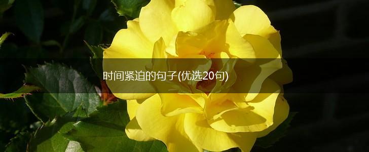 时间紧迫的句子(优选20句),第1张