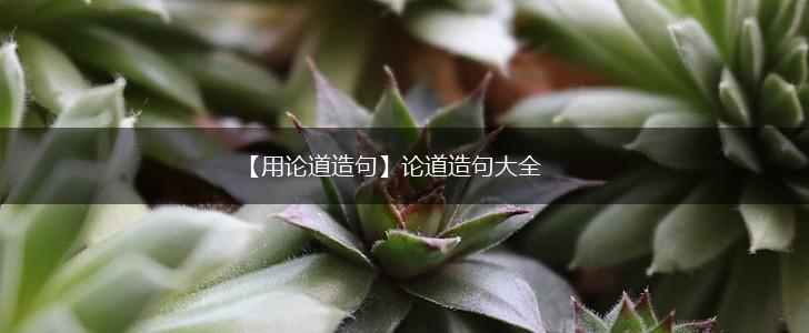 【用论道造句】论道造句大全,第1张 【用论道造句】论道造句大全,第1张