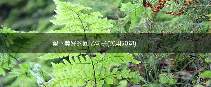 留下美好的回忆句子(实用50句),第1张