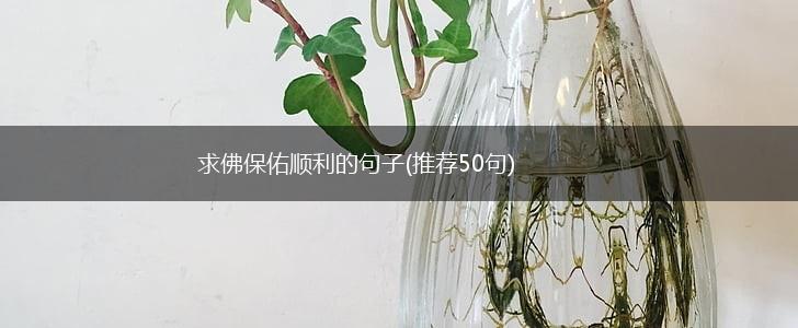 求佛保佑顺利的句子(推荐50句),第1张