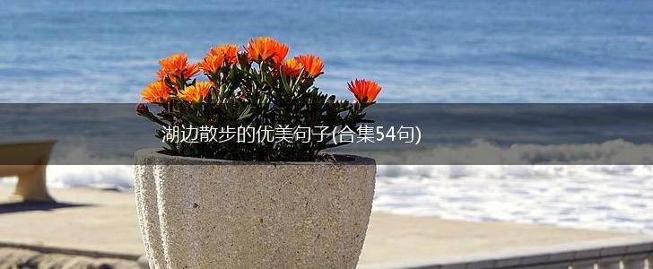 湖边散步的优美句子(合集54句),第1张