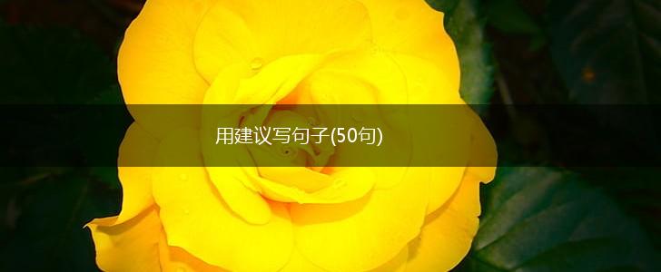 用建议写句子(50句),第1张