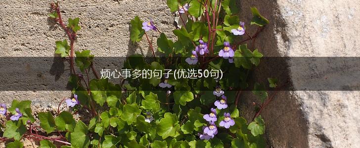 烦心事多的句子(优选50句),第1张