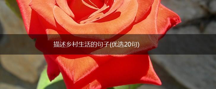 描述乡村生活的句子(优选20句),第1张