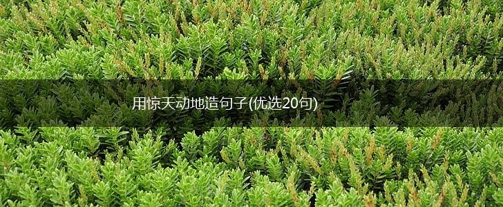 用惊天动地造句子(优选20句),第1张