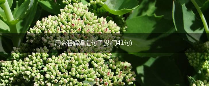 用金碧辉煌造句子(热门41句),第1张