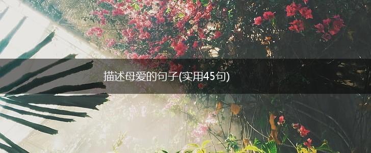 描述母爱的句子(实用45句),第1张