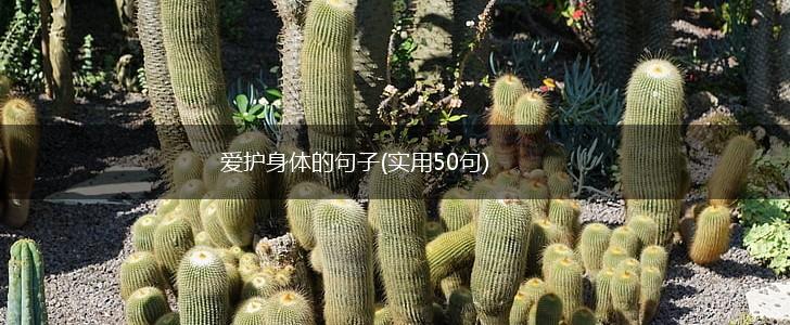 爱护身体的句子(实用50句),第1张