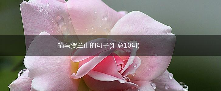 描写贺兰山的句子(汇总10句),第1张