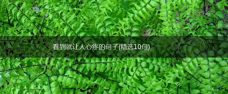 看到就让人心疼的句子(精选10句),第1张