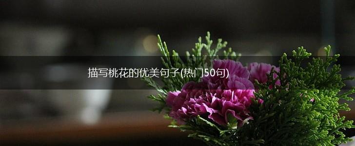 描写桃花的优美句子(热门50句),第1张
