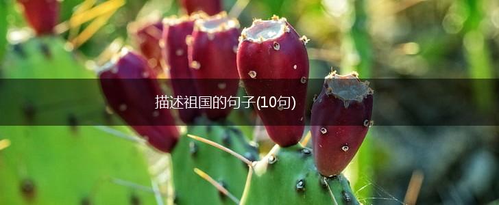 描述祖国的句子(10句),第1张