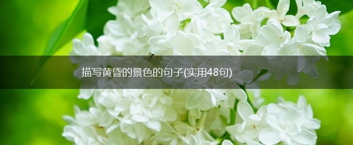 描写黄昏的景色的句子(实用48句),第1张