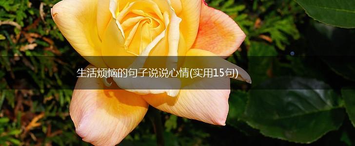 生活烦恼的句子说说心情(实用15句),第1张