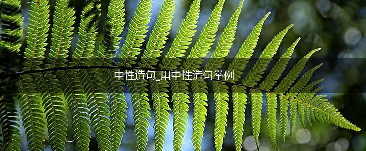 中性造句_用中性造句举例,第1张 中性造句_用中性造句举例,第1张