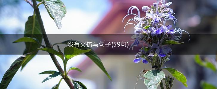 没有火仿写句子(59句),第1张