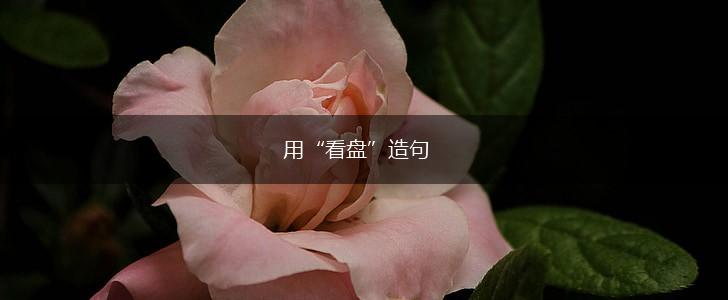 用“看盘”造句,第1张