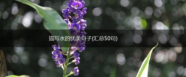 描写水的优美句子(汇总50句),第1张