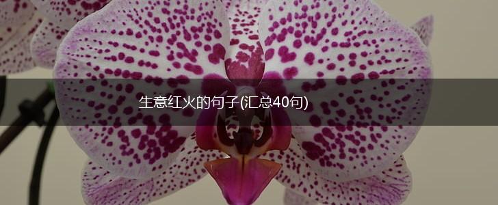 生意红火的句子(汇总40句),第1张