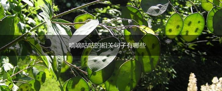 嘀嘀咕咕的相关句子有哪些,第1张